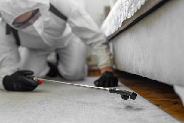 Professional Termite Control technician working in Waterville, WA