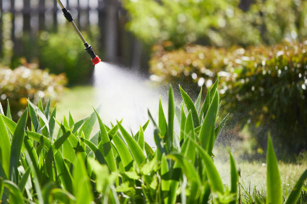 24/7 Emergency Termite Control experts in Waterville, WA