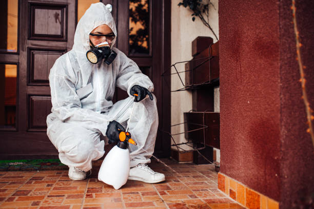 Reliable Termite Control contractor in Waterville, WA by Nex Pest Control