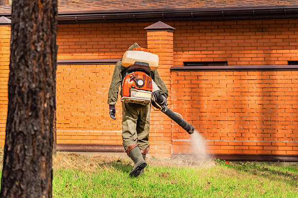 Top rated local Termite Control specialists in Waterville, WA